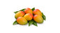 Kesar Mangoes - 1.2 kg (4-6pcs)